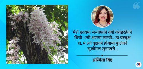 शिव जटामा फक्रिएको सुनाखरी