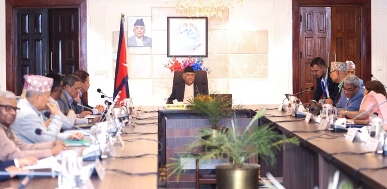 मन्त्रिपरिषद् बैठकमा विद्या र शेखरको चर्चा