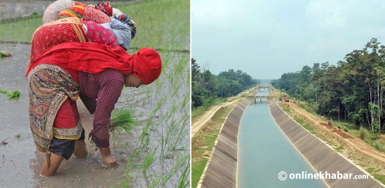 १९ प्रतिशत खेतीयोग्य जमिनमा मात्रै वर्षैभरि सिँचाइ, बाँकीमा वर्षाको भर