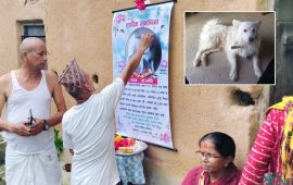कुकुरको काज किरिया, जब सन्तान जसरी हुर्काएको कुकुरको मृत्यु भयो