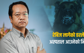 रेबिज फोबियाले तरंगित काठमाडौं