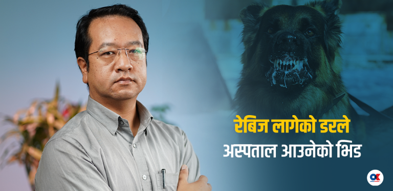 रेबिज फोबियाले तरंगित काठमाडौं