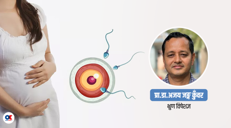 खासमा कस्तो प्रक्रिया हो अण्डादान ? नेपालमा कसरी व्यवस्थित गर्ने ?