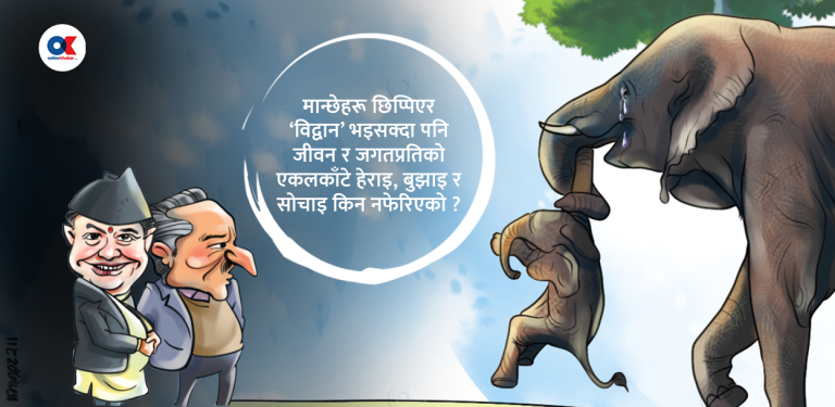 दुई बुज्रुकलाई एक प्रश्न, अबोध पशुलाई खिसिट्युरी गरेर के पायौ ?