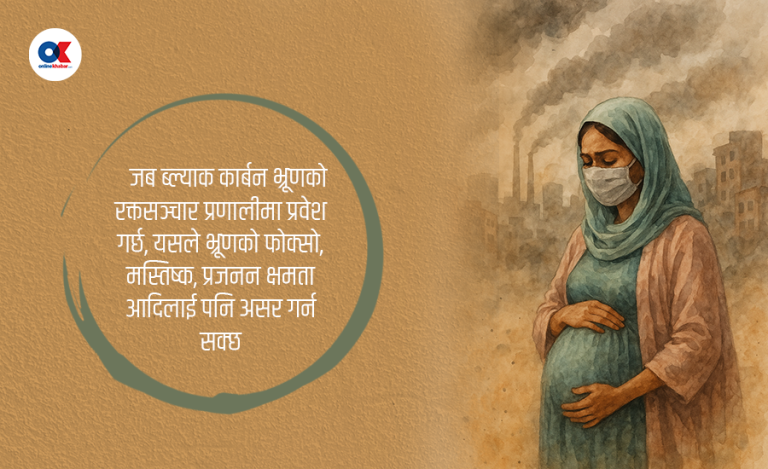प्रदूषित वायुले गर्भको शिशुलाई गम्भीर असर