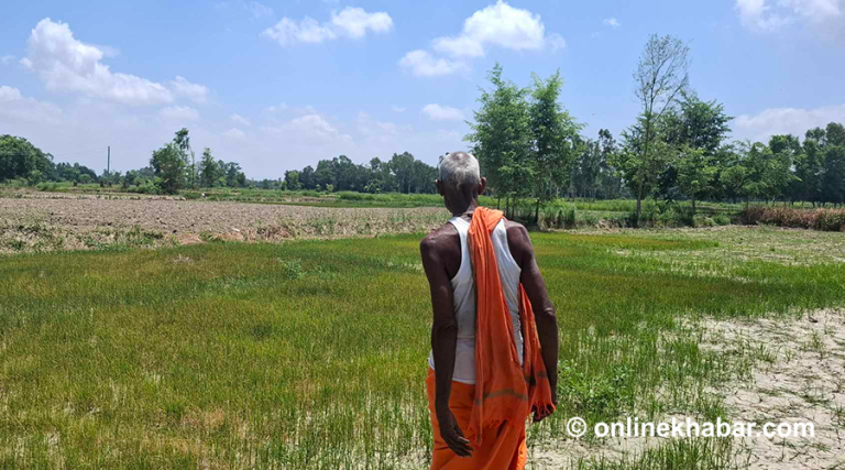‘अब सुक्खा क्षेत्रमा हुने बालीबारे अनुसन्धान हुनुपर्छ, वैकल्पिक बालीबारे सोच्नुपर्छ’