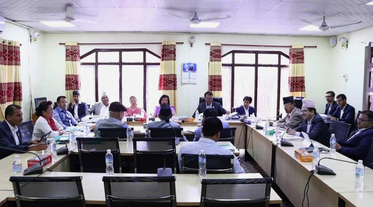 छानबिन समितिलाई ४ दलका प्रमुख सचेतकको सुझाव- नियत हो कि होइन पत्ता लगाउनू