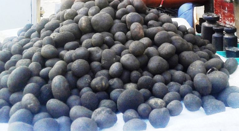 थारू समुदायको भान्सामा हराउँदै ‘फुटकी च्याउ’ को स्वाद