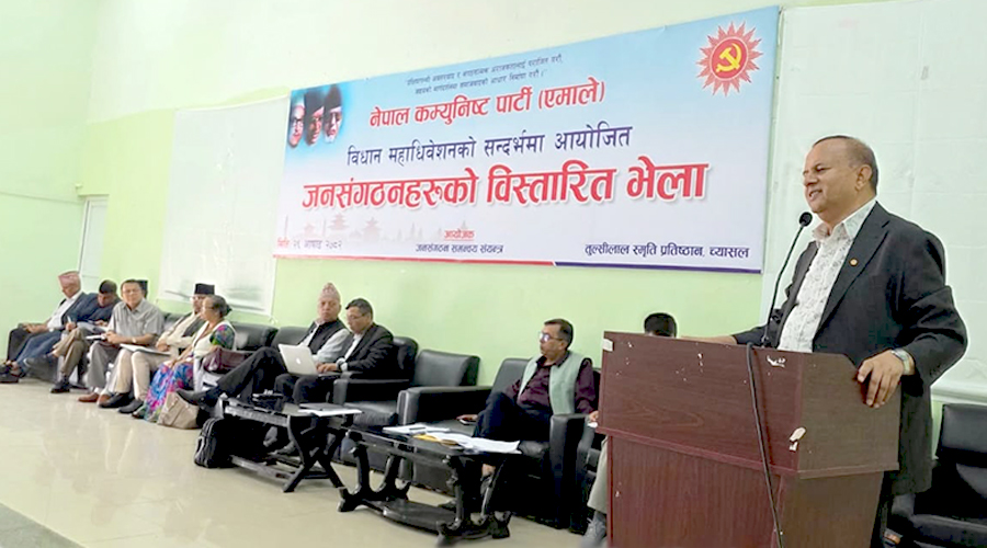 महाधिवेशनबाट पारित विधानबारे टिप्पणी गर्नु अराजकता : शंकर पोखरेल