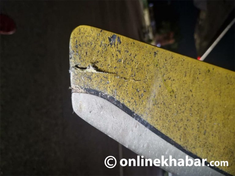 आन्तरिक विमानस्थलहरूमा घटेन चरा र जंगली जनावर जोखिम