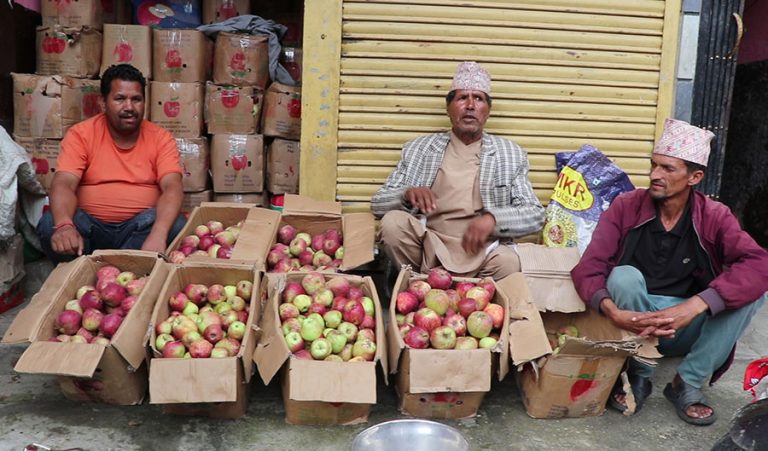 जुम्लाको स्याउ तम्घासमा ल्याएर बिक्री