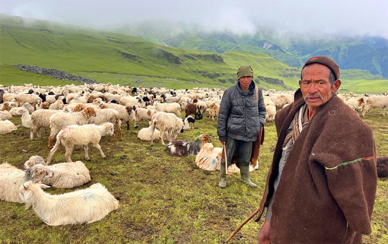 भेडी गोठाला भन्छन् : सरकारले एउटा न्यानो ज्याकेट दिए पनि लाउने थियौँ