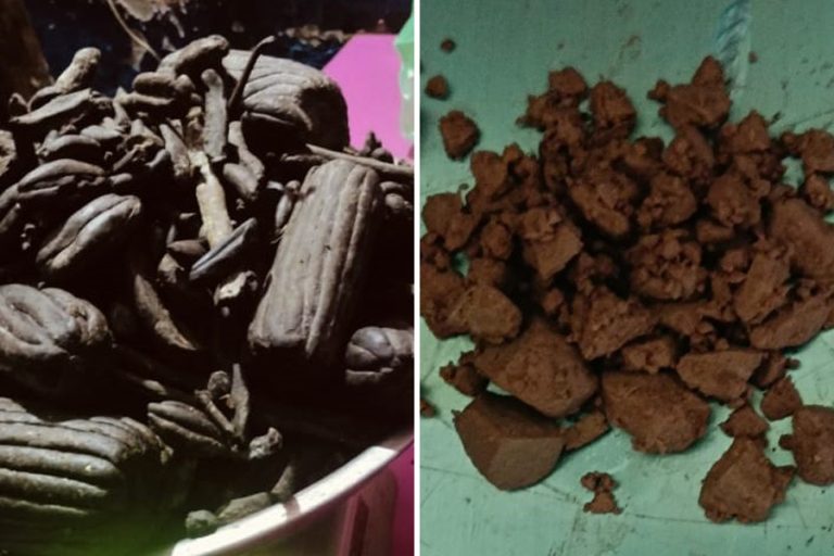 कैलालीमा चरेश र हिरोइनसिहत ५ जना पक्राउ
