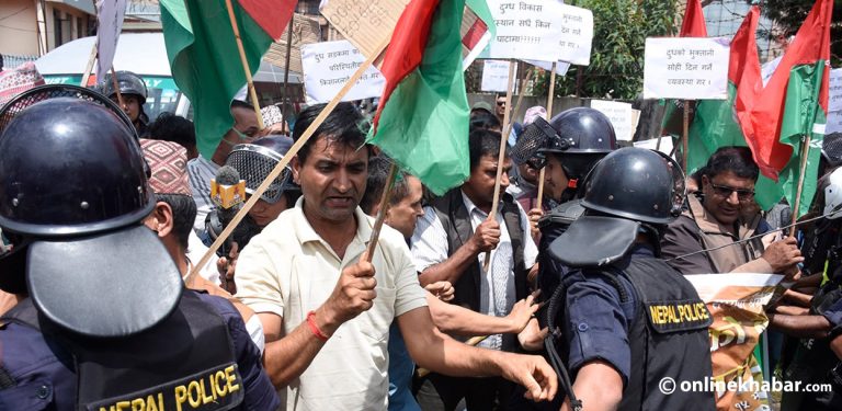 सरकार किसानको दूध खान्छ, पैसा तिर्दैन