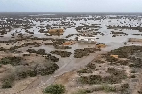 डेल्टाको मृत्युः पाकिस्तानको सिन्धु डुब्दै र सङ्कुचित हुँदै