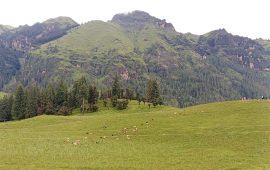 आन्तरिक पर्यटकीय गन्तव्य बन्दै जुम्लाको धिमीचौर