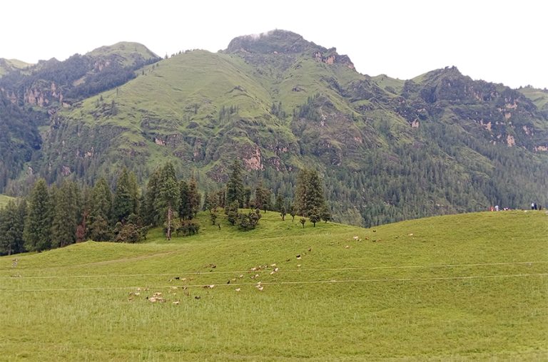 आन्तरिक पर्यटकीय गन्तव्य बन्दै जुम्लाको धिमीचौर