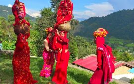 सुदूरपश्चिममा गौरा पर्वको रौनक, आज मुख्य दिन अठवाली मनाइँदै