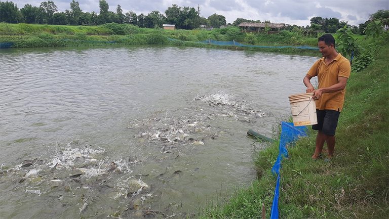 अवैध रूपमा भित्रिने माछाका कारण कञ्‍चनपुरका किसान मारमा