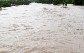 कैलालीको खुटिया नदीमा डुबेर एक किशोर बेपत्ता