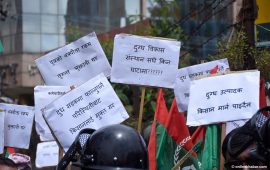 दूध किसानको बक्यौता चुक्ता गरेको उद्योगीको दाबी, दिँदैनन् तथ्यांक