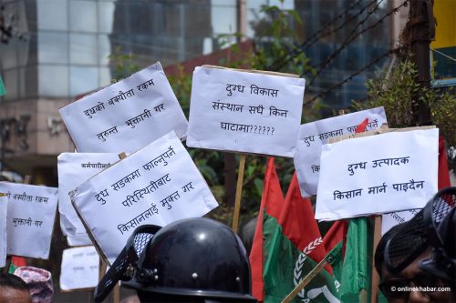 दूध किसानको बक्यौता चुक्ता गरेको उद्योगीको दाबी, दिँदैनन् तथ्यांक