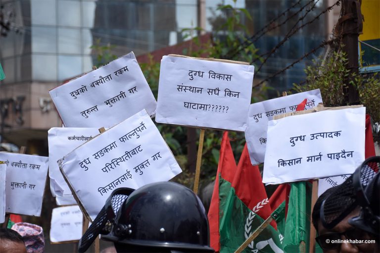 दूध किसानको बक्यौता चुक्ता गरेको उद्योगीको दाबी, दिँदैनन् तथ्यांक