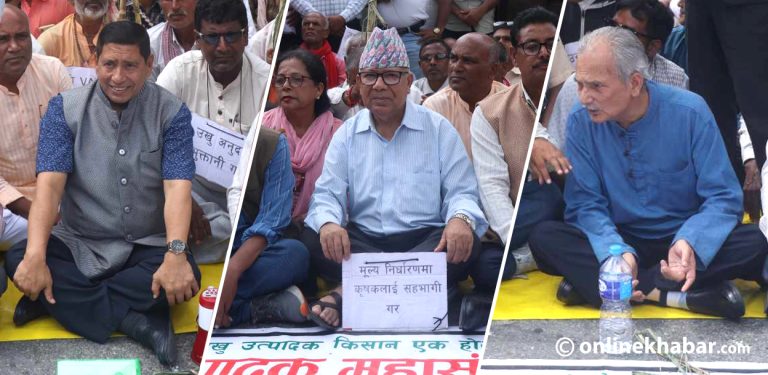 माइतीघर पुग्छ पीडितको आन्दोलन, जस लिन आउँछन् नेता