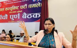 सामाजिक सञ्जालका टिकाटिप्पणीले एमाले हल्लिँदैन : सचिव अर्याल