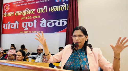 सामाजिक सञ्जालका टिकाटिप्पणीले एमाले हल्लिँदैन : सचिव अर्याल