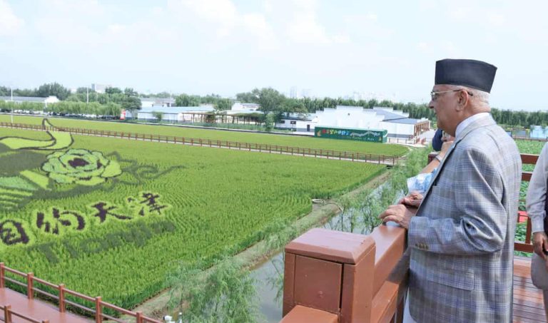 चीनमा रहेका प्रधानमन्त्री ओलीले गरे धान उत्पादन विशेष क्षेत्रको भ्रमण