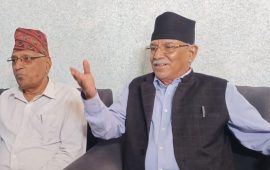 हामीलाई सरकार चाहिएको छैन : प्रचण्ड