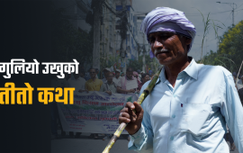 पसिनाको मूल्य खोज्दै सडकमा उखु किसान