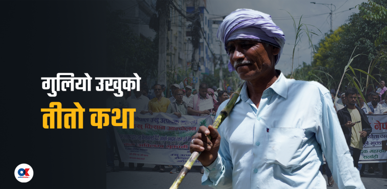 पसिनाको मूल्य खोज्दै सडकमा उखु किसान