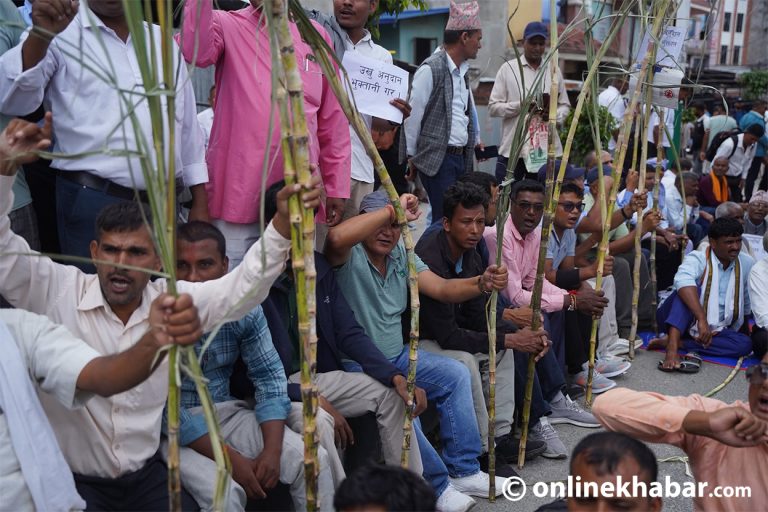 उखु बोकेर किसानहरू आज पनि प्रदर्शनमा (तस्वीरहरू)