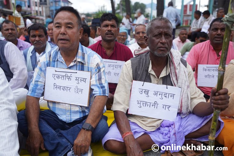 मन्त्रिपरिषद् निर्णय भन्दै पन्छियो मन्त्रालय, उखुको अनुदान ३५ रुपैयाँ नै कायम