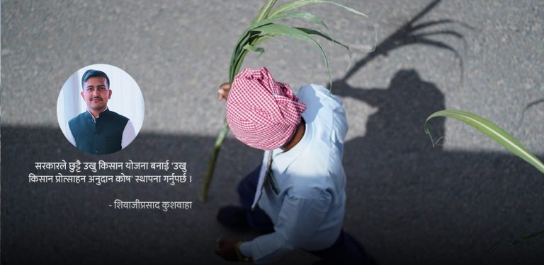 सरकारकै कारण उखु किसान निरीह