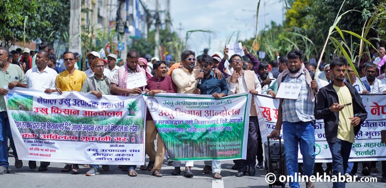 अनुदान माग्दै उखु किसान काठमाडौंको सडकमा (तस्वीरहरू)