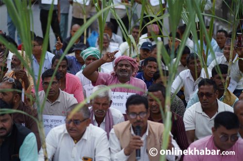 तेस्रो दिन पनि माइतीघरमा उखु किसानको प्रदर्शन (तस्वीरहरू)