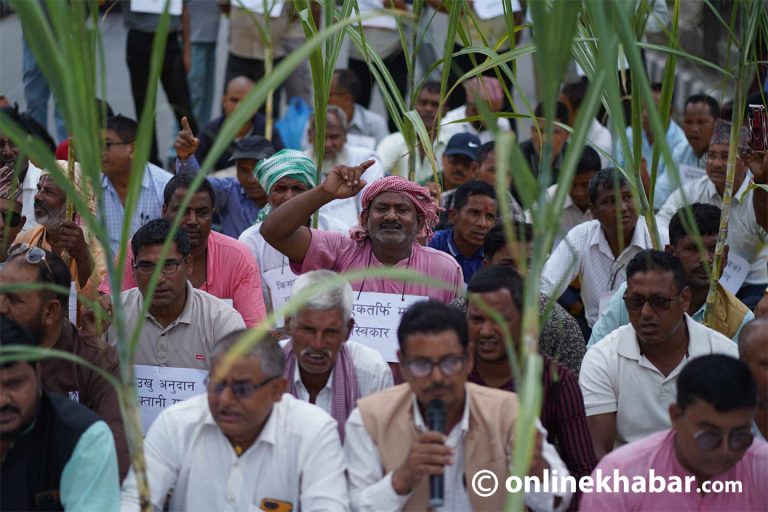 तेस्रो दिन पनि माइतीघरमा उखु किसानको प्रदर्शन (तस्वीरहरू)