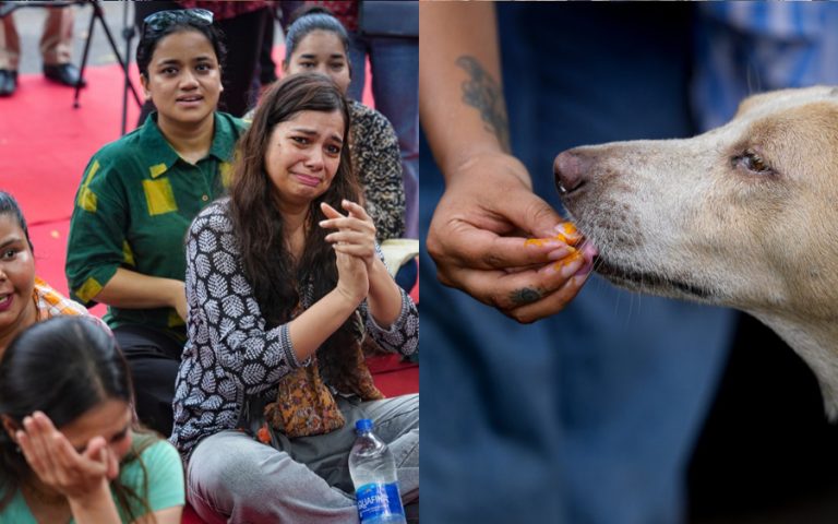 भारतको सर्वोच्च अदालतले गर्यो सडक कुकुरकै पक्षमा फैसला