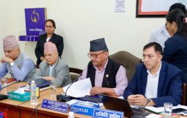 शिक्षा विधेयक : नमिलेका विषय थाती राखेर प्रतिवेदन लेख्ने काम सकियो