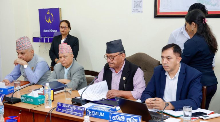 शिक्षा विधेयक : नमिलेका विषय थाती राखेर प्रतिवेदन लेख्ने काम सकियो
