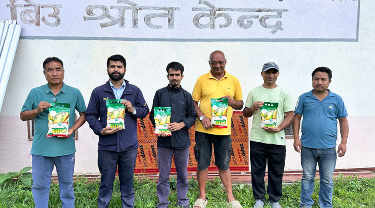गुल्मीमा ‘साना किसानको पोसिलो आटो’ बजारमा
