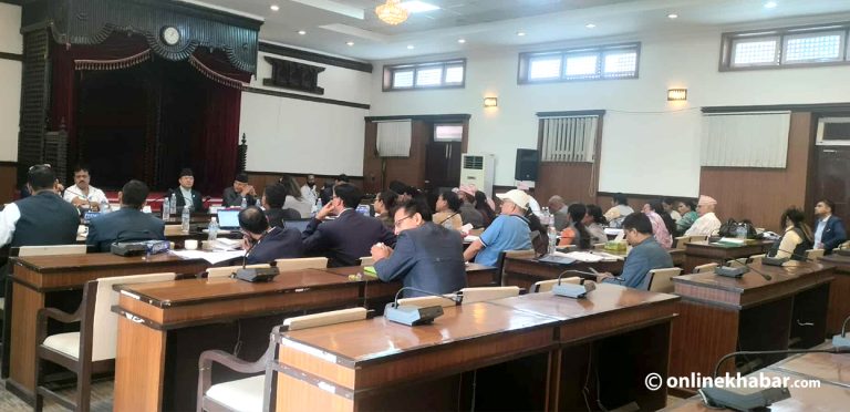 हदबन्दी छुटको जग्गा राख्न डीपीआर र इआईए गर्नुपर्ने प्रावधान यथावत राख्ने सहमति