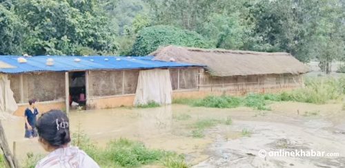 सिन्धुलीको विचित्र खोलामा बाढी, १४ घर डुबानमा