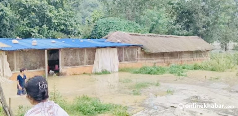 सिन्धुलीको विचित्र खोलामा बाढी, १० घर डुबानमा