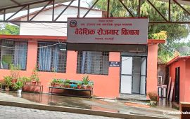 वैदेशिक रोजगारी ठगीमा १९ विरुद्ध एकैदिन पक्राउ पूर्जी, २५ नयाँ मुद्दा दर्ता