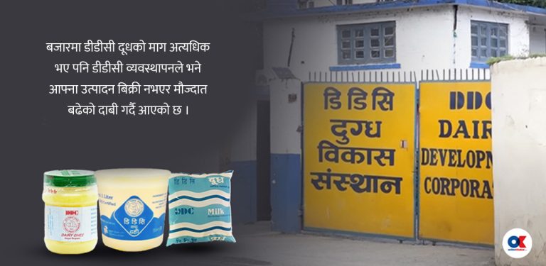 खोज्दा पाइँदैन डीडीसी दूध, व्यवस्थापन भन्छ– बिकेन ! 