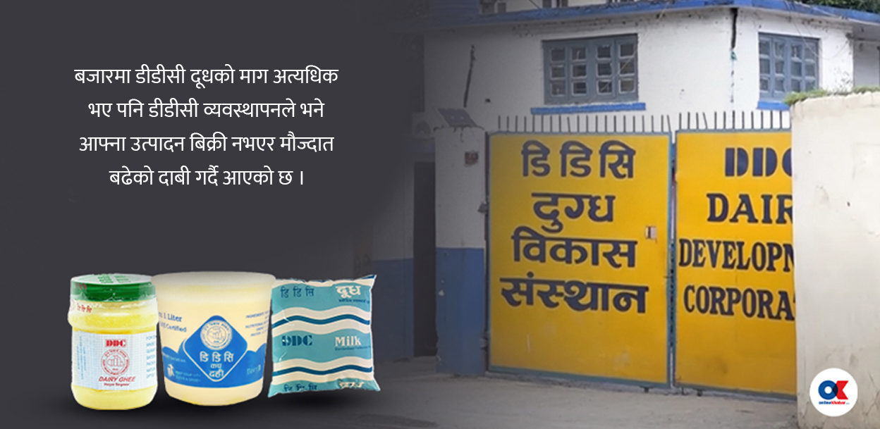खोज्दा पाइँदैन डीडीसी दूध, व्यवस्थापन भन्छ– बिकेन ! 
